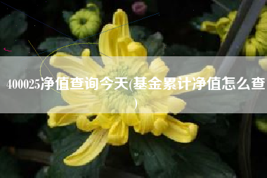 400025净值查询今天(基金累计净值怎么查)