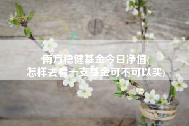 南方稳健基金今日净值(
怎样去看一支基金可不可以买)