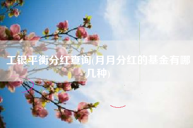 工银平衡分红查询(月月分红的基金有哪几种)