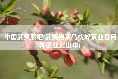 中国武夷股吧(武夷岩茶马枕峰茶业日月神茶业此山中)