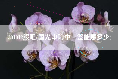 301012股吧(国光申购中一签能赚多少)