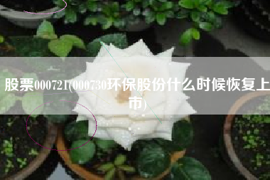 股票000721(000730环保股份什么时候恢复上市)