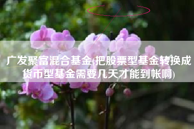 广发聚富混合基金(把股票型基金转换成货币型基金需要几天才能到帐啊)