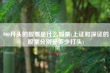 900开头的股票是什么股票(上证和深证的股票分别是多少打头)