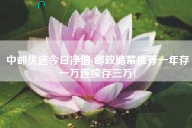 中邮优选今日净值(邮政储蓄推荐一年存一万连续存三万)