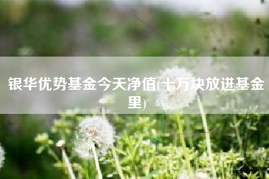 银华优势基金今天净值(十万块放进基金里)