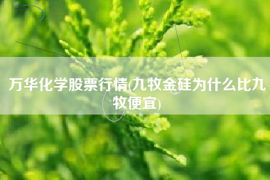 万华化学股票行情(九牧金硅为什么比九牧便宜)