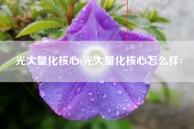 光大量化核心(光大量化核心怎么样)