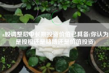 a股调整后中长期投资价值已具备(你认为是投机还是赌博还是价值投资)