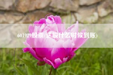 601929股票(送股什么时候到账)
