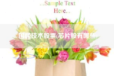 国民技术股票(芯片股有哪些)