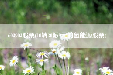 603903股票(10转30派9元的氢能源股票)