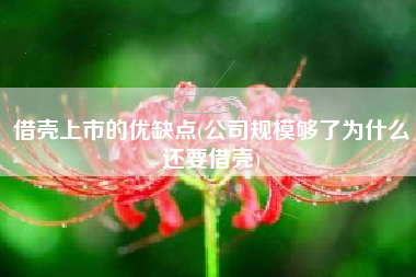 借壳上市的优缺点(公司规模够了为什么还要借壳)
