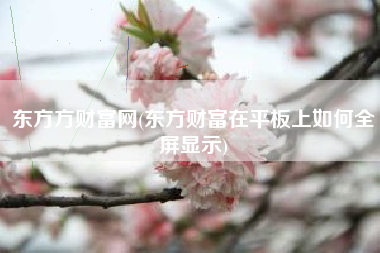 东方方财富网(东方财富在平板上如何全屏显示)