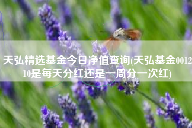 天弘精选基金今日净值查询(天弘基金001210是每天分红还是一周分一次红)
