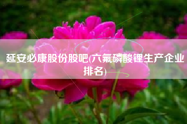 延安必康股份股吧(六氟磷酸锂生产企业排名)