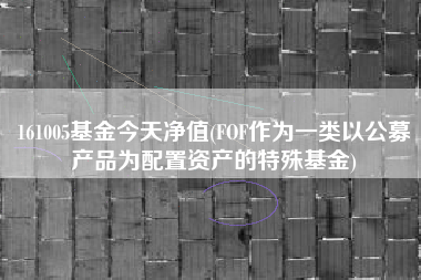 161005基金今天净值(FOF作为一类以公募产品为配置资产的特殊基金)
