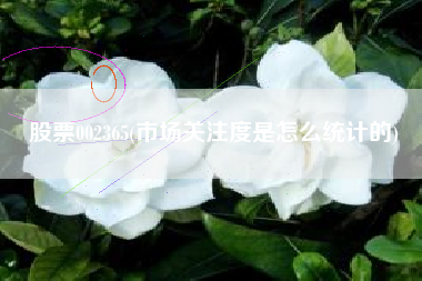 股票002365(市场关注度是怎么统计的)