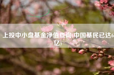 上投中小盘基金净值查询(中国基民已达6亿)