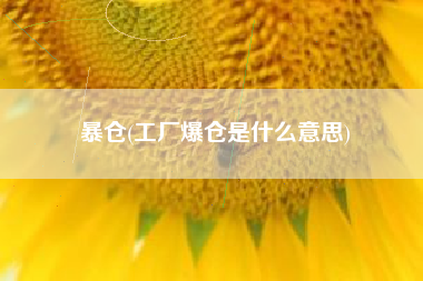 暴仓(工厂爆仓是什么意思)