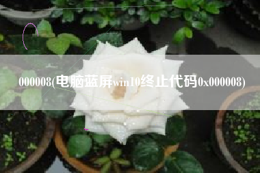 000008(电脑蓝屏win10终止代码0x000008)