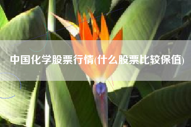 中国化学股票行情(什么股票比较保值)