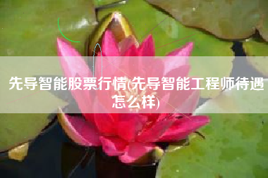 先导智能股票行情(先导智能工程师待遇怎么样)