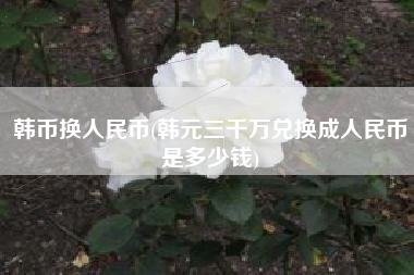 韩币换人民币(韩元三千万兑换成人民币是多少钱)