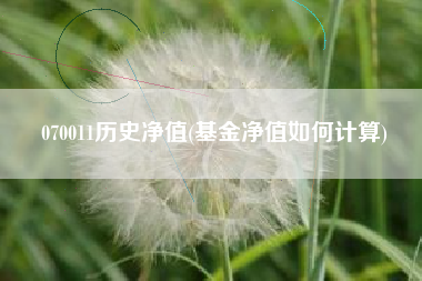 070011历史净值(基金净值如何计算)