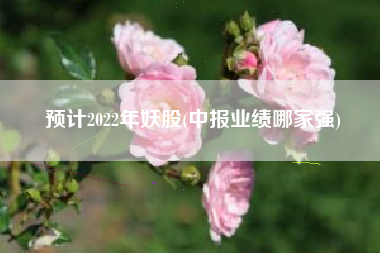 预计2022年妖股(中报业绩哪家强)