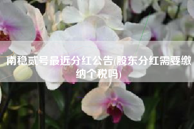 南稳贰号最近分红公告(股东分红需要缴纳个税吗)