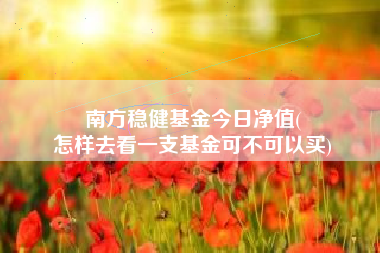 南方稳健基金今日净值(
怎样去看一支基金可不可以买)