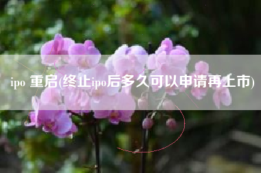 ipo 重启(终止ipo后多久可以申请再上市)
