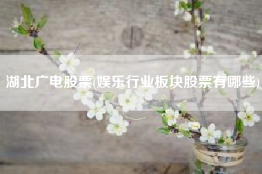 湖北广电股票(娱乐行业板块股票有哪些)