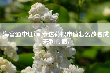 海富通中证100(泰达荷银市值怎么改名成宏利市值)
