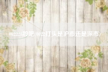002228股吧(0022打头是沪市还是深市)