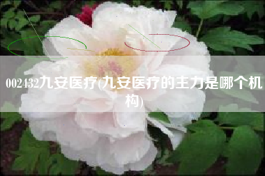 002432九安医疗(九安医疗的主力是哪个机构)