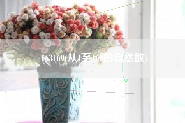 163169(从1至169的自然数)