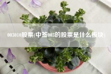 003010股票(中签003的股票是什么板块)