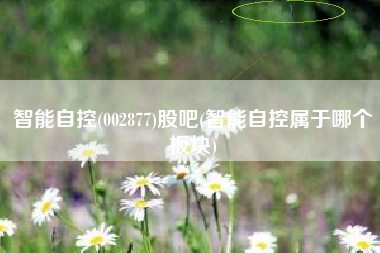 智能自控(002877)股吧(智能自控属于哪个板块)