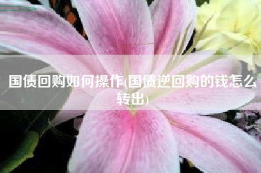 国债回购如何操作(国债逆回购的钱怎么转出)