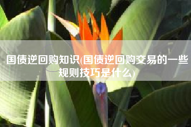 国债逆回购知识(国债逆回购交易的一些规则技巧是什么)