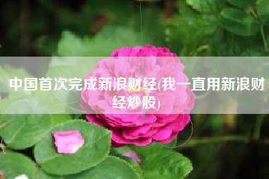中国首次完成新浪财经(我一直用新浪财经炒股)