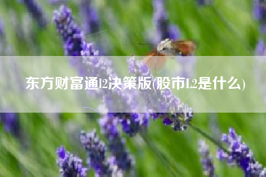 东方财富通l2决策版(股市L2是什么)