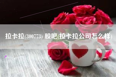 拉卡拉(300773) 股吧(拉卡拉公司怎么样)