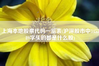 上海本地股票代码一览表(沪深股市中345789字头的都是什么股)