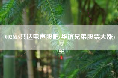 002655共达电声股吧(华谊兄弟股票大涨)