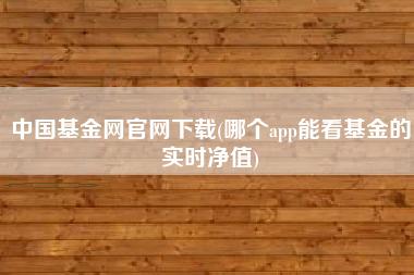 中国基金网官网下载(哪个app能看基金的实时净值)