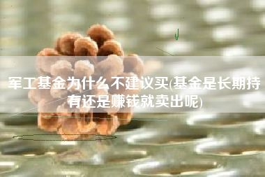 军工基金为什么不建议买(基金是长期持有还是赚钱就卖出呢)