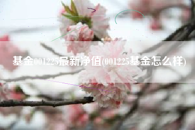 基金001225最新净值(001225基金怎么样)
